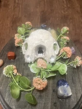 cangoned cat skull  Wall Mont Art  Wall Hanger 3d Printed oddities