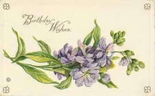 Postcard Birthday Wishes Purple Flower Stem Embossed