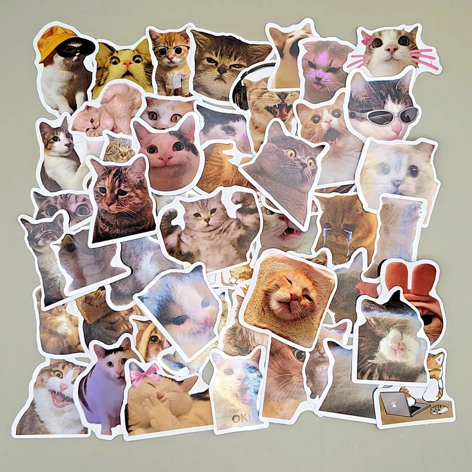 Funny cat meme sticker pack 50 pieces die-cut vinyl decals photo realistic internet cats