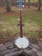 banjo 5 string fretless beginners