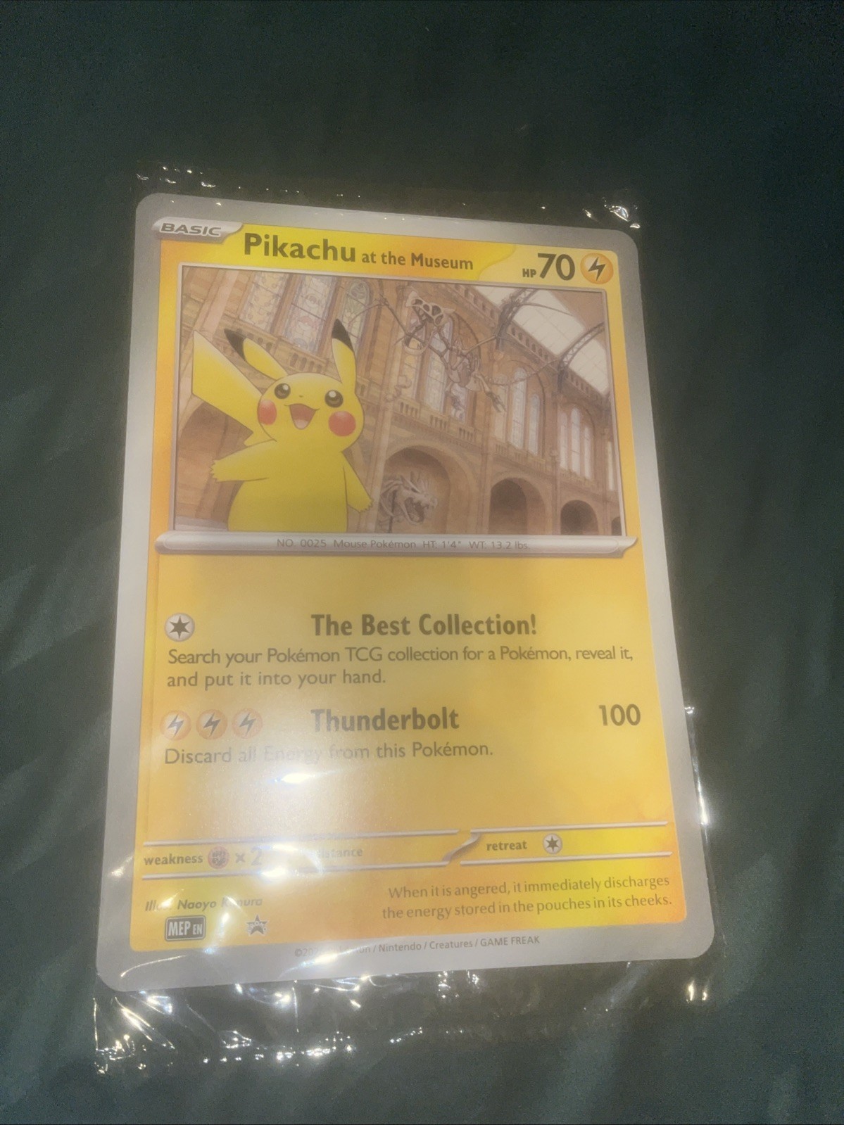 2x Pokémon TCG Pikachu At The Museum Black Star Promo Jumbo Card Sealed