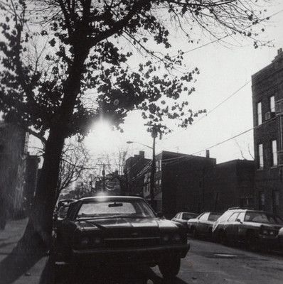 NYC Street with Parked Cars & Winter Tree Silhouette   1985 Gelatin Silver Print
