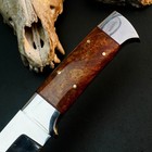 8.8" D2 Steel Hunting Knife Full Tang Resin Handle Fixed Blade Leather Sheath — photo 9