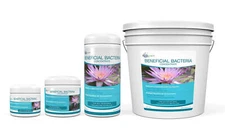 Aquascape® Beneficial Bacteria for Ponds/Dry Concentrate