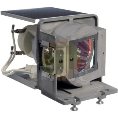 Original bulb inside Projector Lamp Module for VIEWSONIC VS13869