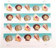 Seashells Pane of Twenty Post Card - Postage Stamps Scott 5166a