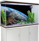 Bild 31 von 42