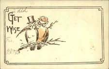 Dressed owls ~ Get Wise ~ comic ~ unused c1905 UDB postcard sku693
