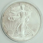 2008 "American Silver Eagle" Uncirculated 1 Oz .999 Fine Silver Bullion BU!