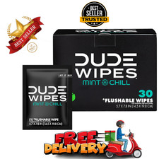 DUDE Wipes - On-The-Go Flushable Wipes - 1 Pack, 30 Wipes - Mint Chill Extra