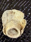 Civil War Hard Impact Bullet Shot - Richmond, Va