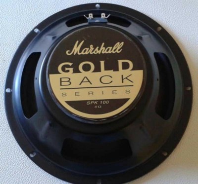 marshall goldback speaker