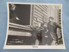 MOVIE STILL PRESS PHOTO ADVERTISING WILD SEED CELIA KAYE MICHAEL PARKS 8X10