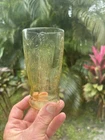 Parrot Sylvan  Federal Depression AMBER Water tumbler.