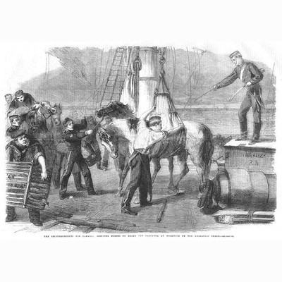 WOOLWICH Schiffspferde an Bord der Kalkutta von Kranich - antiker Druck 1862