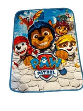 Northwest Paw Patrol 60"x80" Twin Plush Raschel Blanket