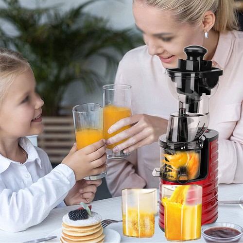 Electric Cold Press Slow Juicer Fruit Vegetable Extractor Processor Sorbet Maker - Picture 11 of 12
