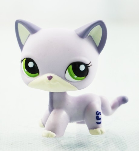 fluval stratum petco