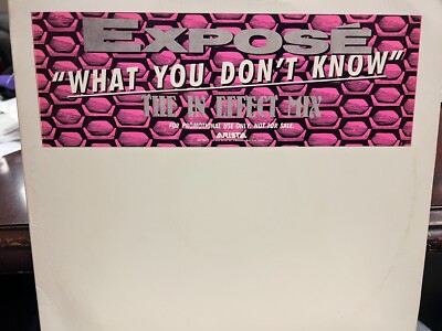 EXPOSE WHAT YOU DON'T KNOW (IN EFFECT MIXES) 12'' 1989 ARISTA ADP-9845 DJ PROMO