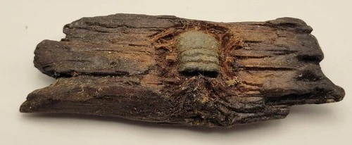 Antique Original Civil War Bullet in Wood Mine Ball 3 Ring Bentonville