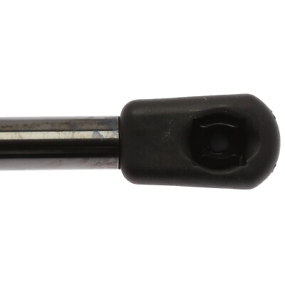 Liftgate Lift Support for Nissan Rogue