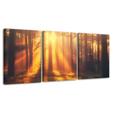 3 PCS Set Canvas Print Painting Poster Morning Forest Modern Wall Art Home Decor