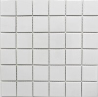 Keramik Mosaik Fliese Weiß GläNzend Fliesenspiegel Badezimmerwand MOS16B-0101