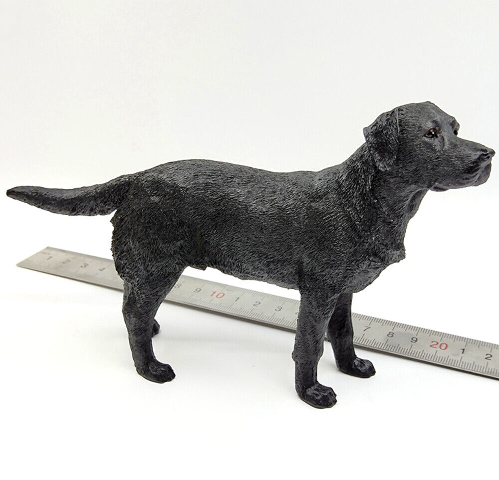 Minitimes toys M013 1/6 Scale Seal Team Six-Halo Labrador K Minitimes toys M013 1/6 Scale Seal Team Six-Halo Labrador K