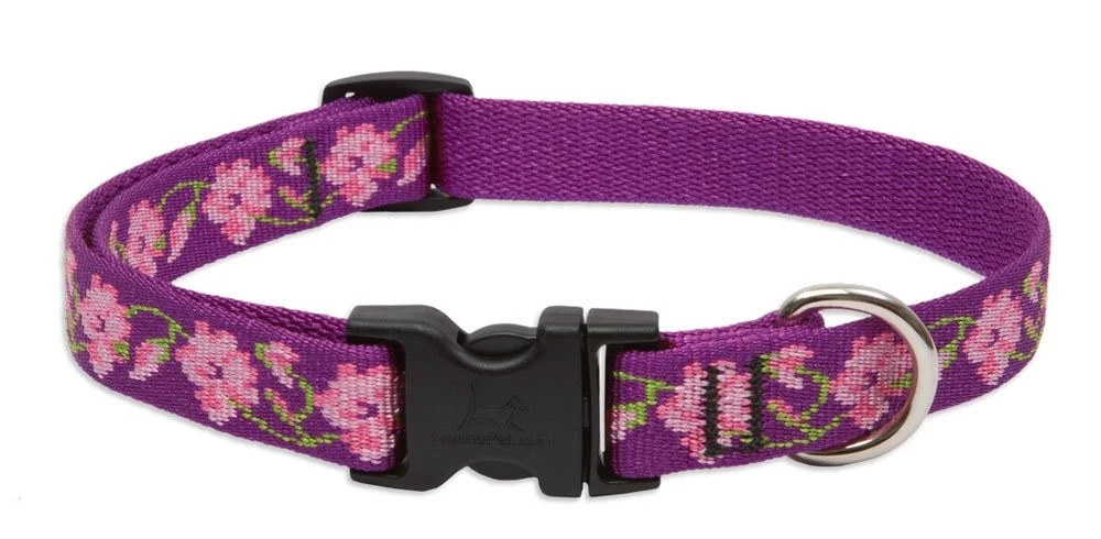 LupinePet Originals 3/4" Rose Garden 9-14" Adjustable Collar for Small Dogs