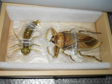 Kaiyodo REVO GEO Water Scorpion Dragonfly Nymph Rebo Gio