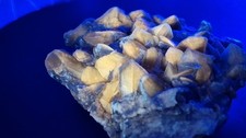 Gips Phantomgips Top UV Kristalle 6,3cm Koberice Mähren 🇨🇿 Mineralien Crystals