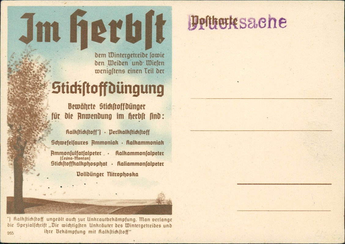Bild 2 von 3