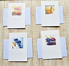 Southern Living At Home Fruit Blank Note Cards 4 Piece Lot 4x6 with Envelopes