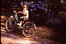 1956 Sweet Girl Bicycle Kodachrome Red Border Vintage 35mm Slide 1950's JNA1