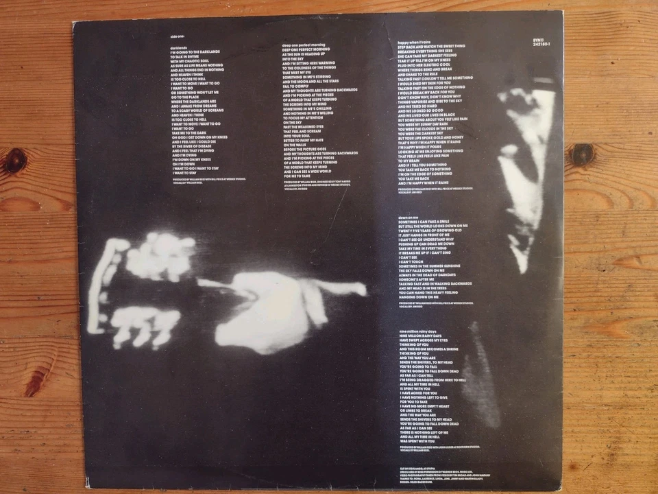 The Jesus And Mary Chain Darklands 12" Vinyl 1987 Blanco Y Negro/ WEA - Bild 4 von 4