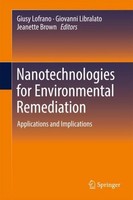 Nanotechnologies For Environmental Remediation Giusy Lofrano