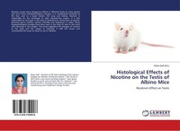 Histological Effects Of Nicotine On The Testis Of Albino Mice Kiran Saif