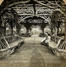USA États-Unis New York Central Park c1900 Photo Stereo Vintage Citrate §f