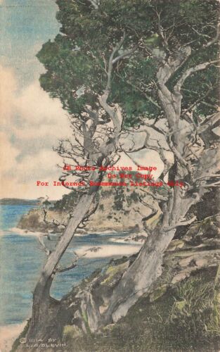 CA, Carmel, California, Point Lobos, Albertype - Afbeelding 1 van 2