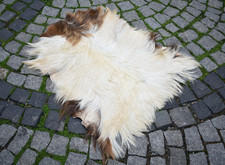 Angora Goat Leather Goatskin Fur 2 x 3 ft Pelt Hide 100% Natural Goat Skin Rug