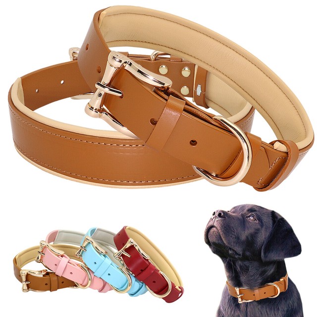 Genuine Leather Dog Collar Small Large Adjustable Padded & Metal Buckle