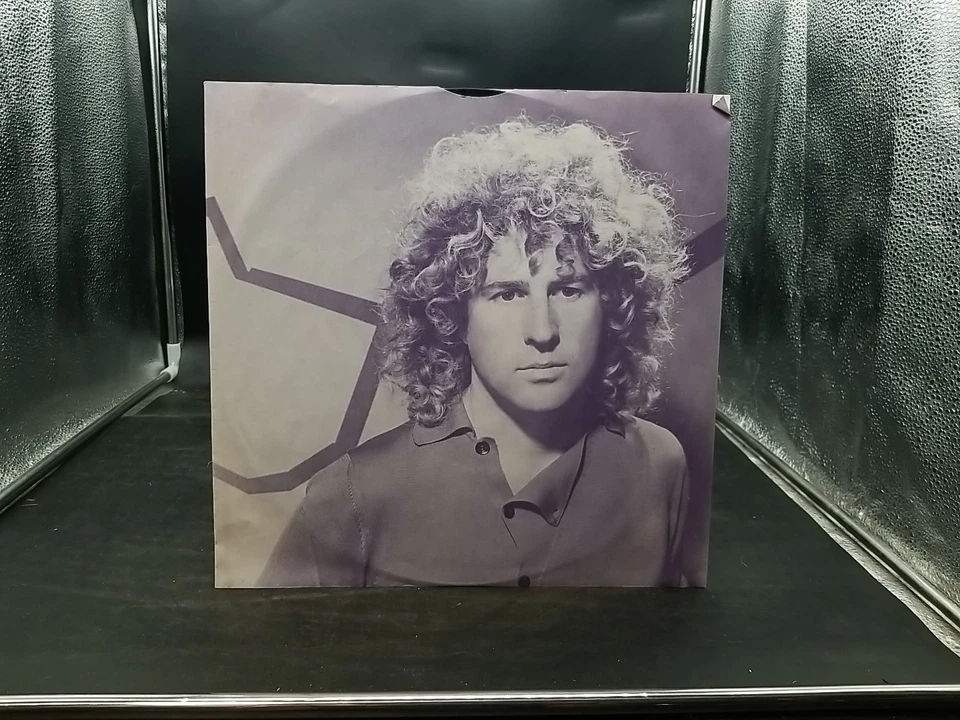 Sammy Hagar -Standing Hampton (1981) Vinyl Geffen RECORD Foto 3 de 4
