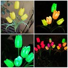 Gartenlicht Solar Gartenleuchte Blumengartendekorationen Im Freien