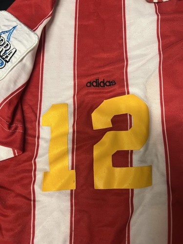 RARE Vintage 1995 Game Used Monterey Bay Jaguars USISL Soccer Jersey Size XL - Picture 6 of 11