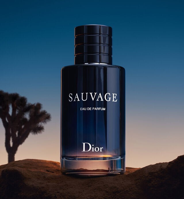Dior Sauvage Eau de Parfum 香水　100ミリ Dior Sauvage Eau de Parfum - Enveloping, Suave, Mysterious Scent