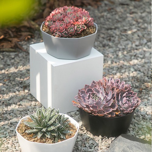 Flower Pots Large Diameter Plastic Planters With Hole Great For Herbs African - Picture 17 of 30