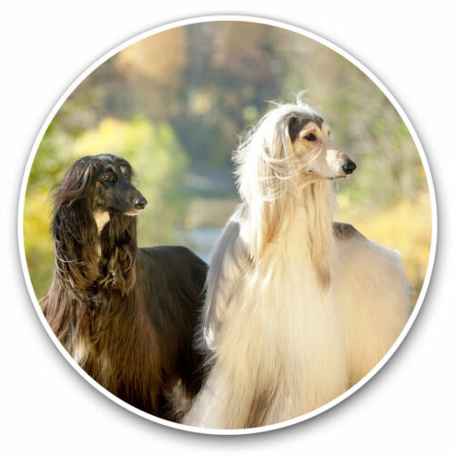 2 x adesivi vinile 20 cm - bianchi e marroni cani cane afgano regalo fantastico #16056 - Foto 1 di 9