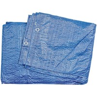 Vorel Plane 3X5M 57 G/M2 Wasserdicht Sonnenschutz Abdeckplane Regen Schutz