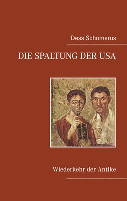 Dess Schomerus | Die Spaltung der USA | Taschenbuch | Deutsch (2009) | 200 S.