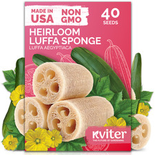 Luffa Seeds Luffa Aegyptiaca   Loofa, Loofah Sponge Gourd Heirloom